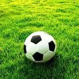 تمرین پرسپولیس برای تقابل حساس با تراکتور در جام حذفی